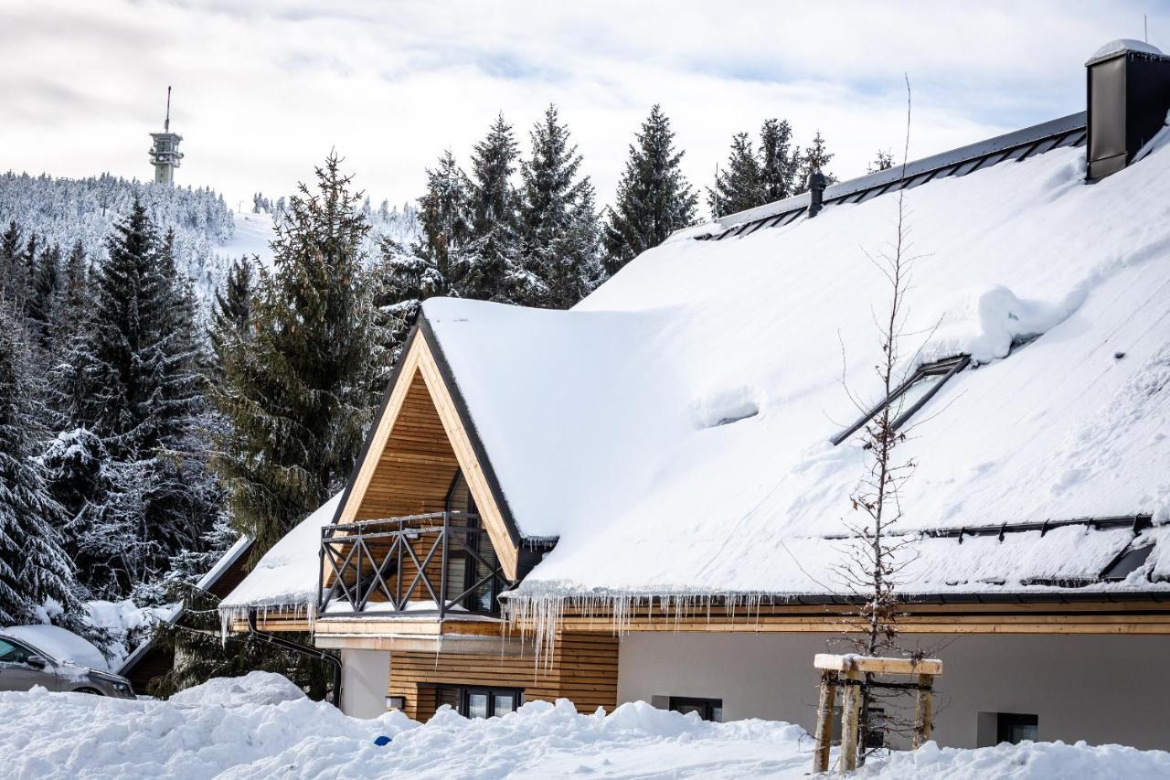 Ski Chalet Klinovec Loučná pod Klínovcem Esterno foto