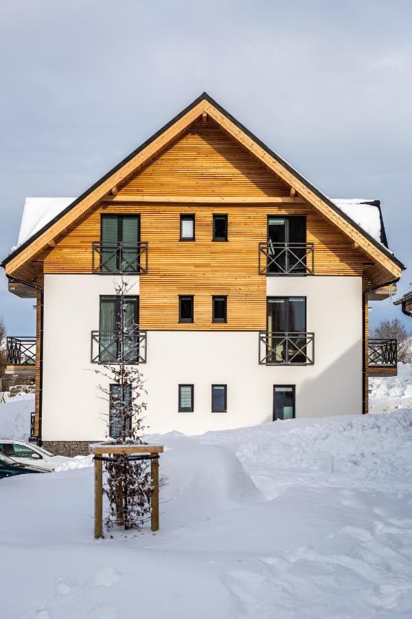Ski Chalet Klinovec Loučná pod Klínovcem Esterno foto