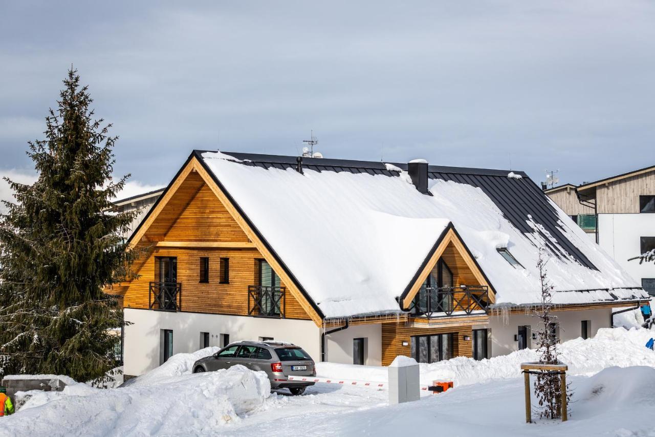 Ski Chalet Klinovec Loučná pod Klínovcem Esterno foto