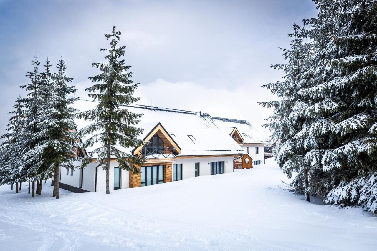 Ski Chalet Klinovec Loučná pod Klínovcem Esterno foto