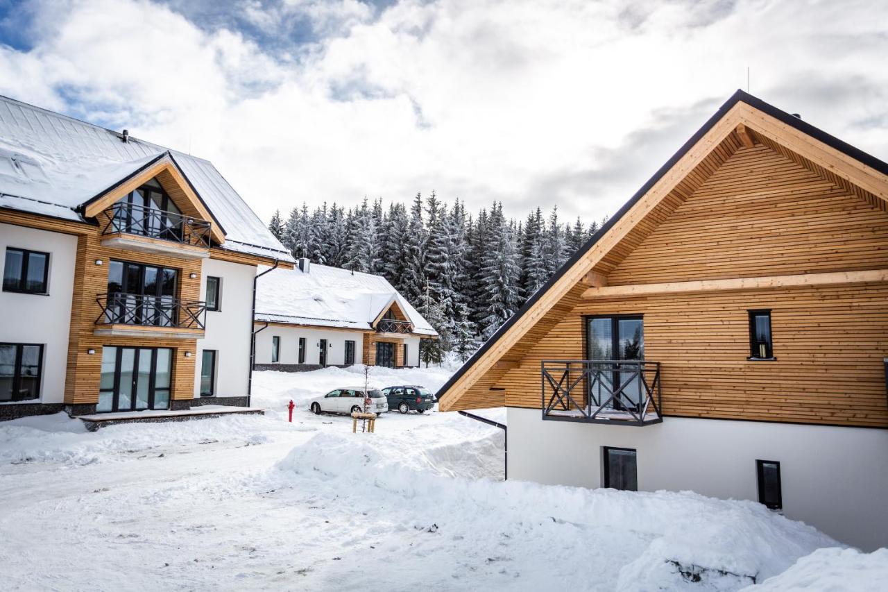 Ski Chalet Klinovec Loučná pod Klínovcem Esterno foto