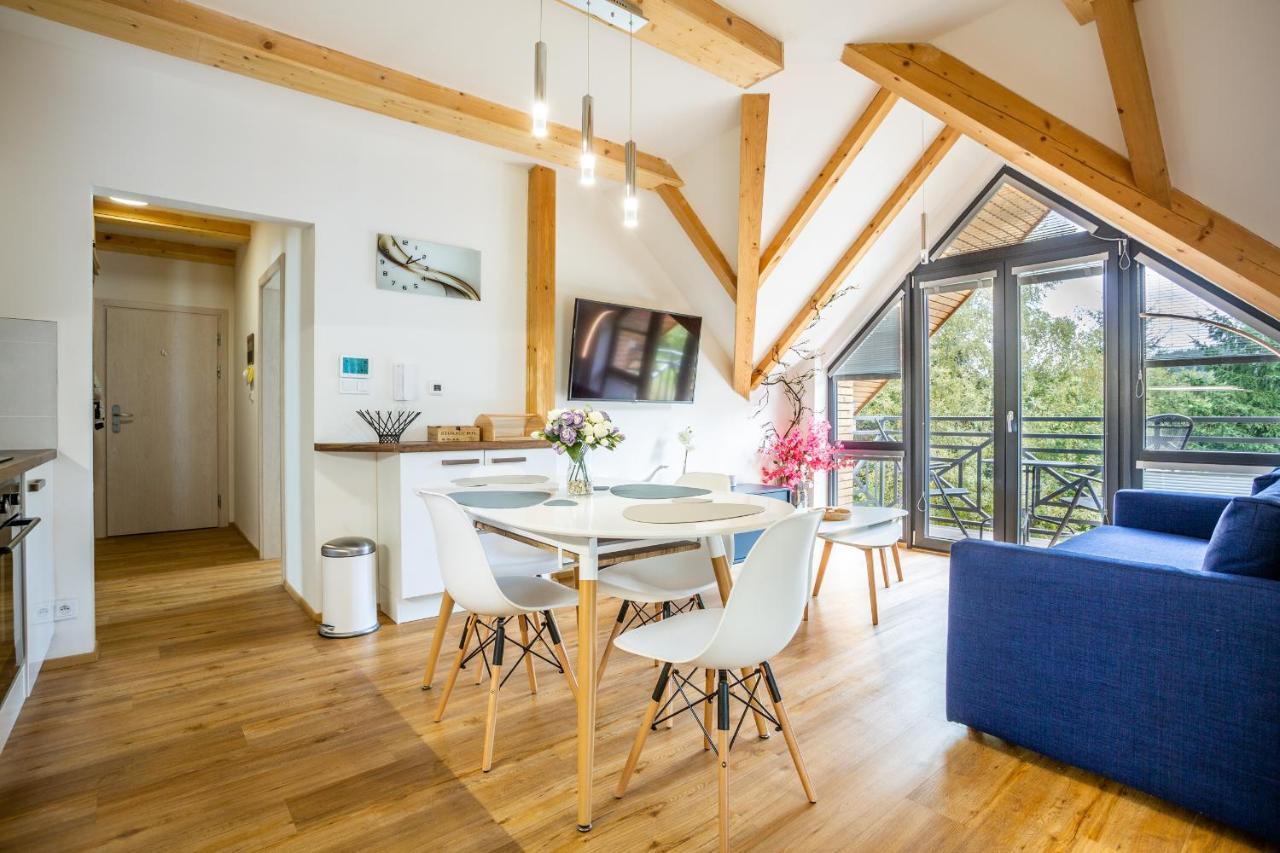 Ski Chalet Klinovec Loučná pod Klínovcem Esterno foto