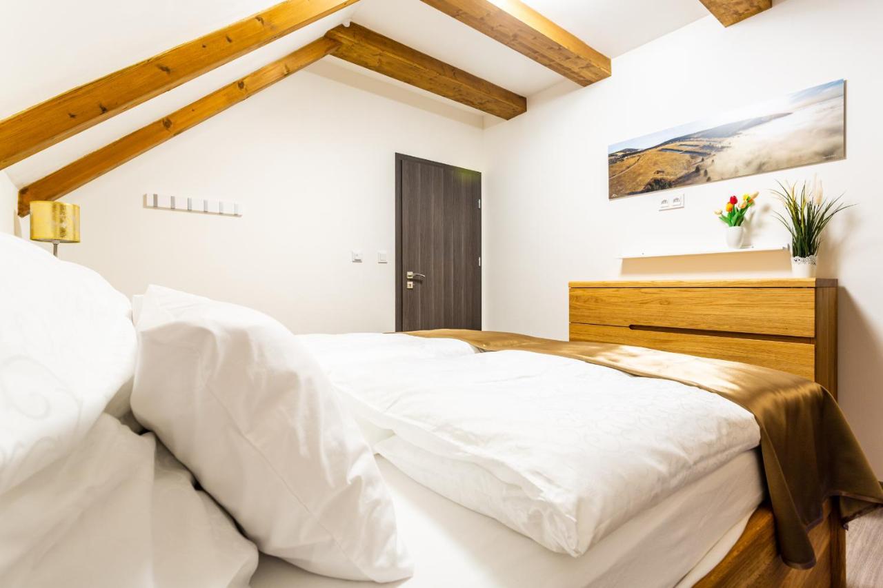 Ski Chalet Klinovec Loučná pod Klínovcem Esterno foto